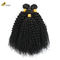 Strette ricciole Tessile Tessile Estensioni di capelli Afro Kinky Fusioni Nero naturale