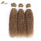 27 Tesa colorata Ombra Estensioni di capelli umani Vergine ricci 100g/confezione