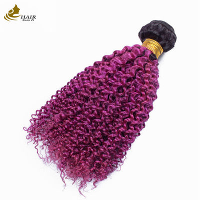 Afro Kinky Riccioli Root scuro viola Ombre Virgin Human Hair Bundles in vendita