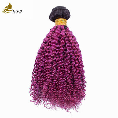 Afro Kinky Riccioli Root scuro viola Ombre Virgin Human Hair Bundles in vendita